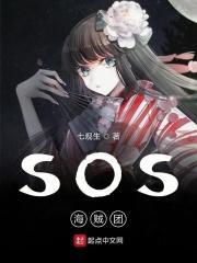 海贼冐险团
