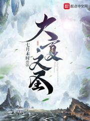 大夏文圣完整版