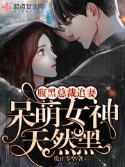 腹黑总裁忙追妻免费阅读