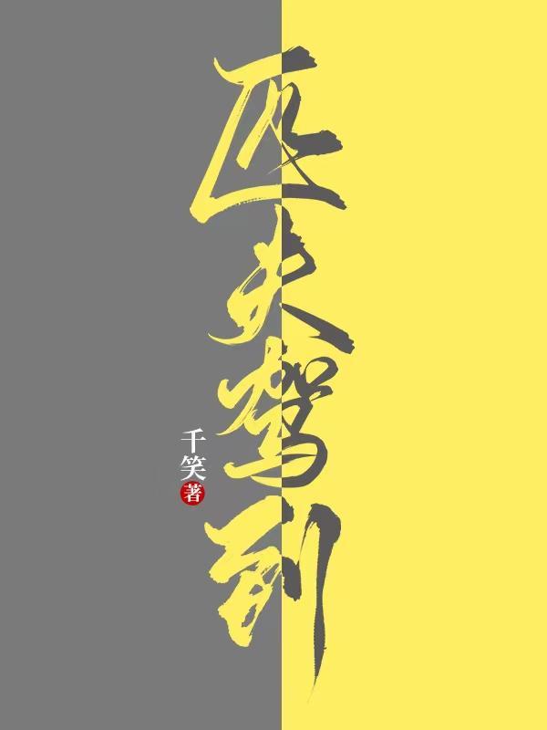 匹夫驾到一筒身份