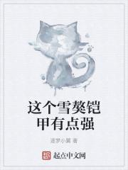 雪獒铠甲变好