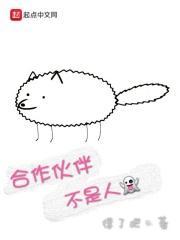 合作伙伴什么关系