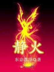 静火版六七八卷pdf