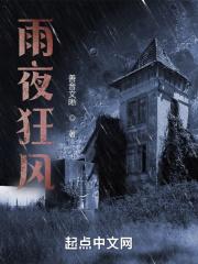 夏季描写狂风雨夜的诗词