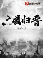 三国归晋电视剧