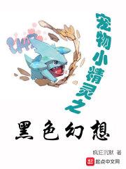 宠物小精灵之黑暗星辰