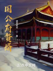 国公府的赘婿女主