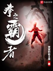 拳霸之霸和拳霸3