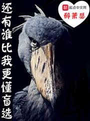 有谁比我更懂你