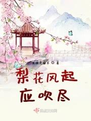 梨花风起作品