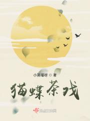 猫戏蝶诗句