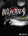 暗夜追凶在线观看视频