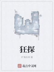 狂探历史