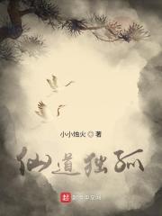 仙道独尊百科