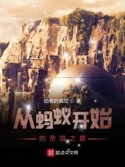 从蚂蚁到蚁皇