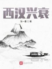 西汉是如何衰落的