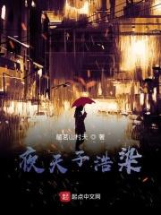 夜天子续文