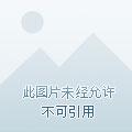 重生之路上的景点