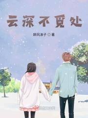 我是一只小小小小鸟下一句是什么