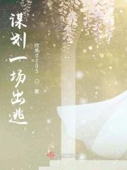 谋划一场出逃的游戏
