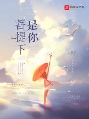 菩提啊什么歌