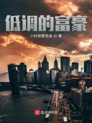 低调的富豪电视剧