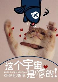 这个宇宙是虚拟