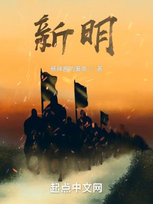 新明教育集团名下学校