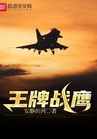 王牌战机什么飞机好