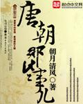 唐朝那些事儿书