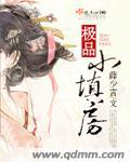极品小二