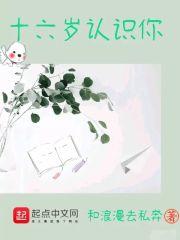 十六岁的青春