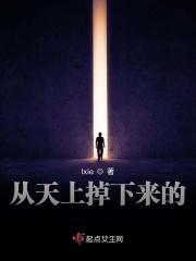 从天上掉下来的石头