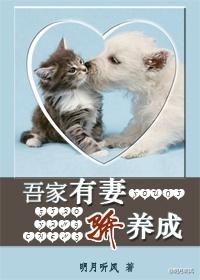 吾家有妻娇养成古穿今
