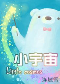 小宇宙在歇斯底里的燃烧是什么歌