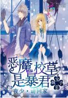 恶魔校草是暴君夜少请回家免费阅读