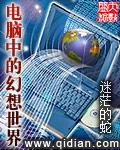 电脑中的幻想世界里番