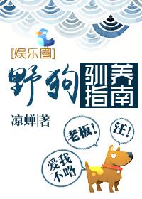 野狗驯养指南 江陵