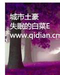 土豪的城市
