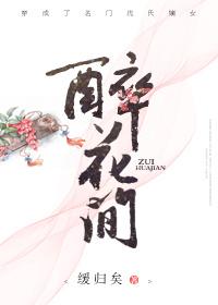 醉花间讲了什么故事