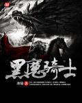 黑骑士1
