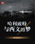 哈利波特翻译同人