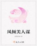 凤倾的全集