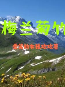 梅兰菊竹邮票价格