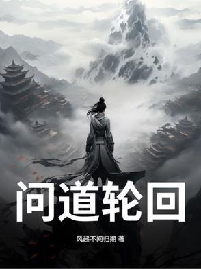 问道轮回录