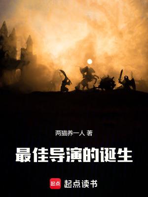 最佳导演的诞生防盗