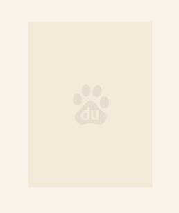 绝世炼丹师 冰灵月