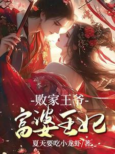 败家王爷倾城贼