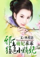 邪王请接招全文免费阅读