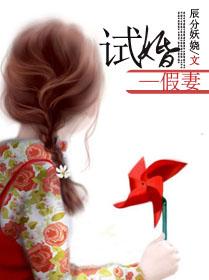 试婚政策
